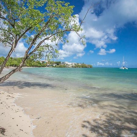 Bungalow Ti Banane Sainte-Luce Kültér fotó